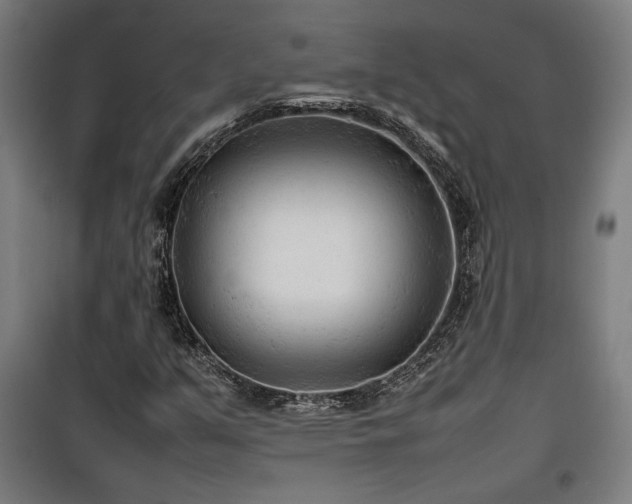 X0000100191351200805301238