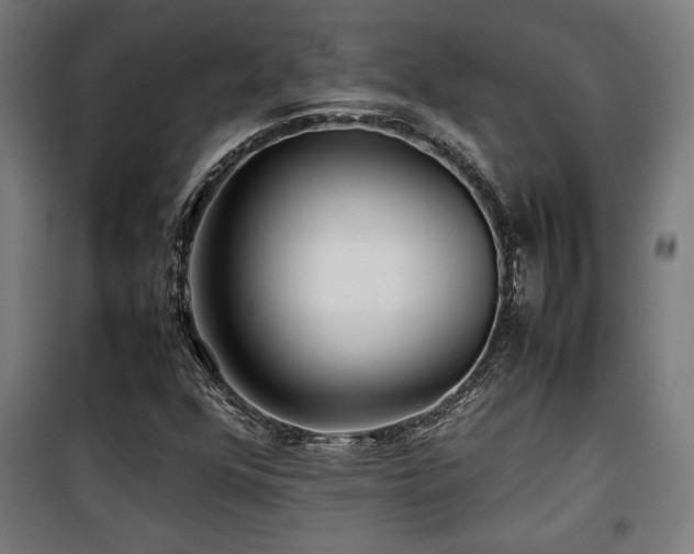 X0000100191352200805301238