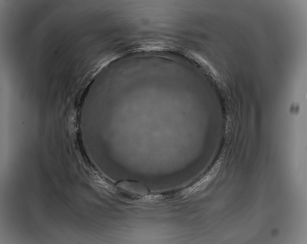 X0000100191353200805301238