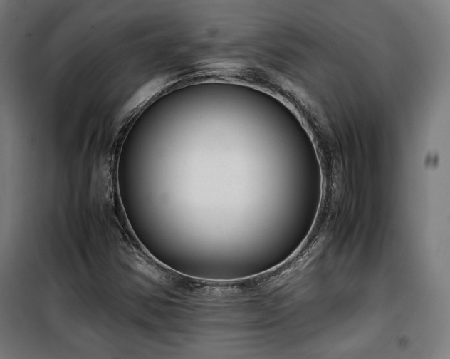 X0000100191354200805301238