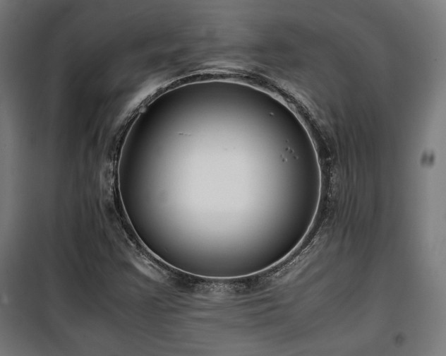 X0000100191355200805301238