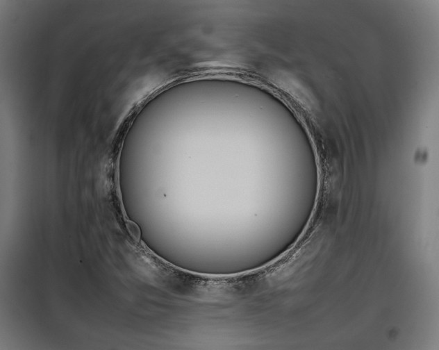 X0000100191357200805301238