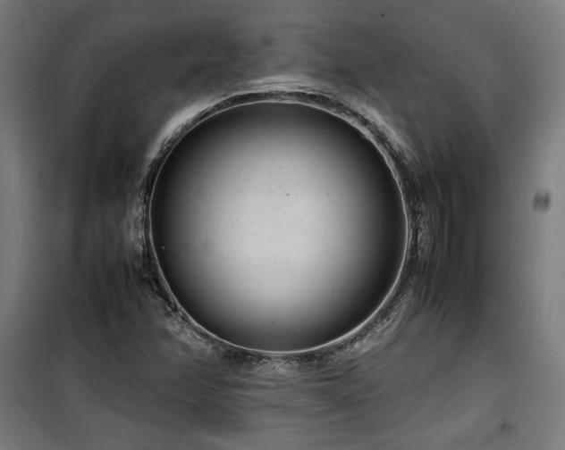 X0000100191358200805301238