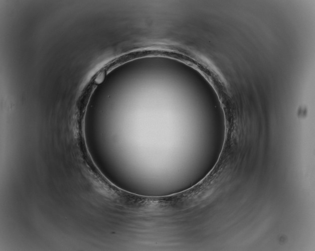 X0000100191360200805301238
