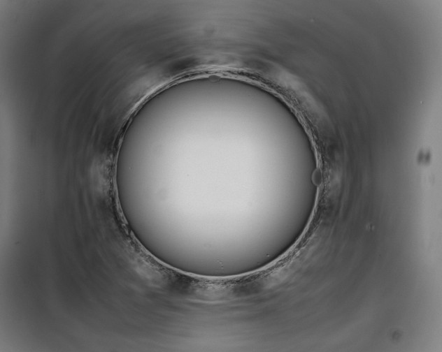 X0000100191361200805301238