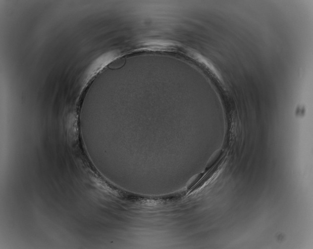 X0000100191362200805301238