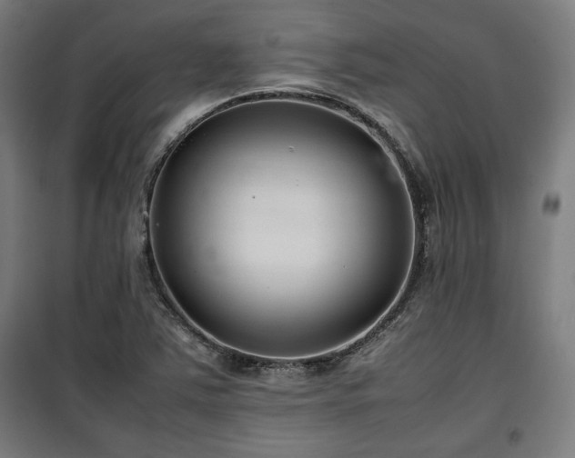 X0000100191363200805301238