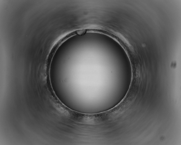 X0000100191364200805301238