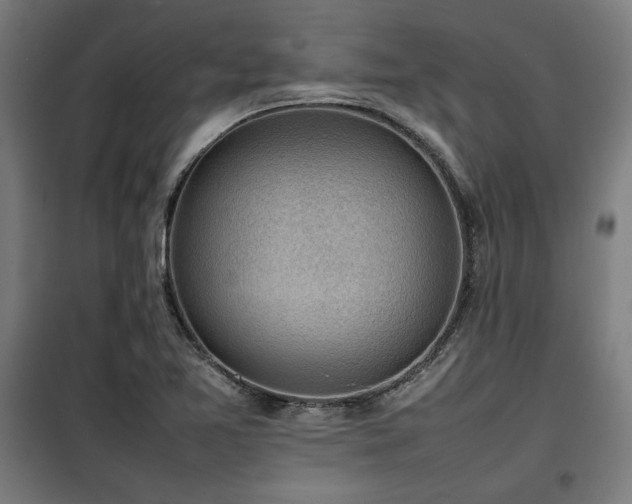 X0000100191365200805301238
