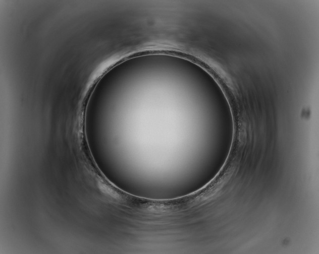 X0000100191366200805301238