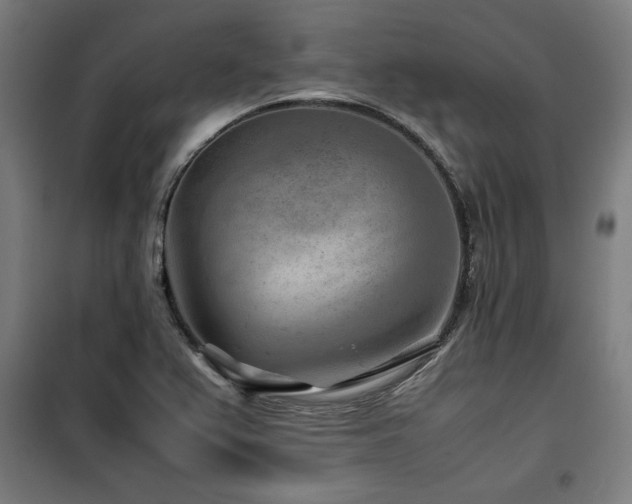 X0000100191367200805301238