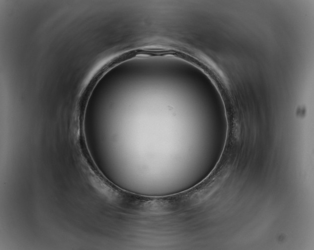 X0000100191368200805301238
