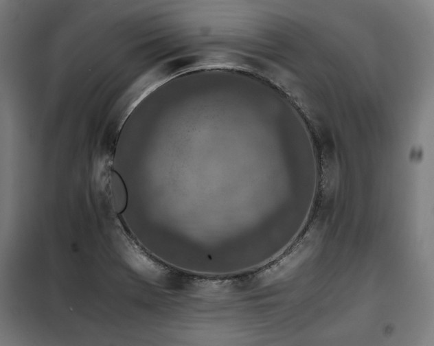X0000100191369200805301238