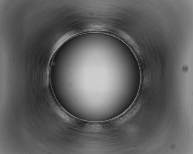 X0000100191370200805301238