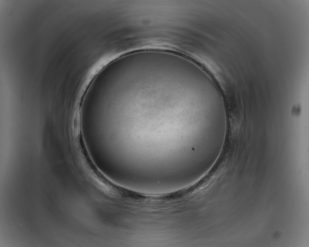 X0000100191371200805301238