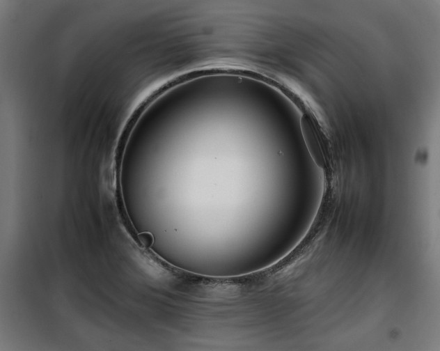 X0000100191372200805301238