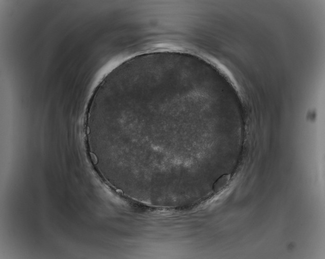 X0000100191373200805301238