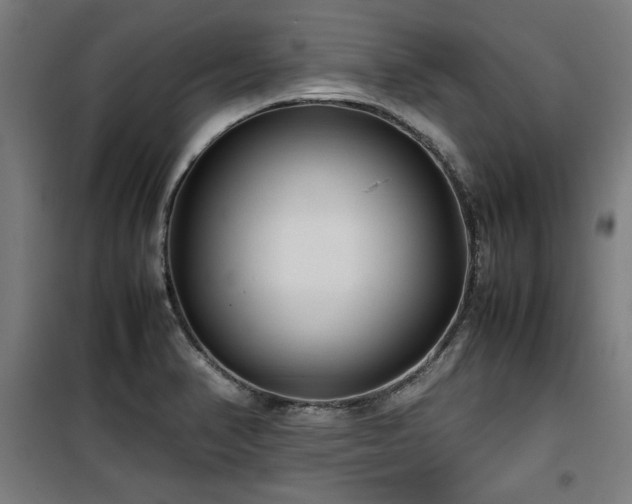X0000100191374200805301238
