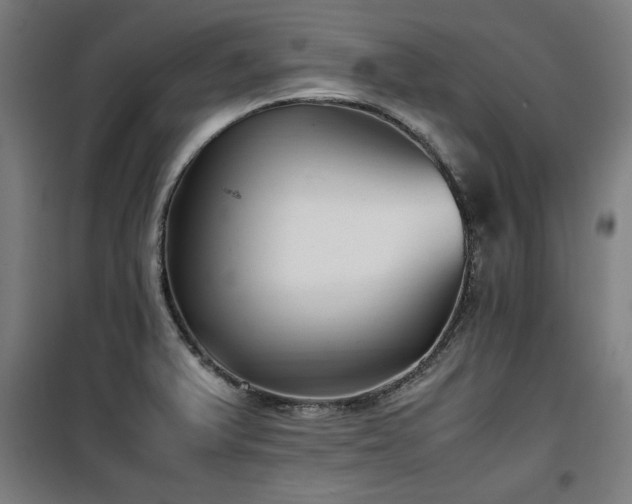 X0000100191375200805301238
