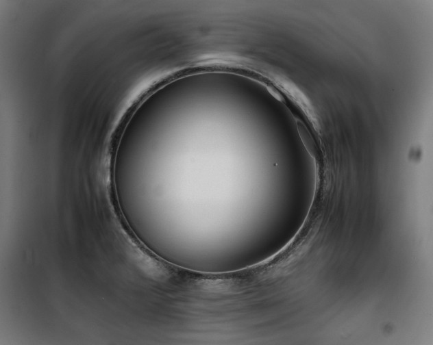 X0000100191376200805301238
