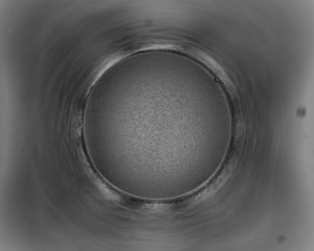 X0000100191377200805301238