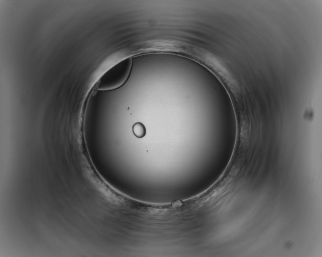 X0000100191378200805301238
