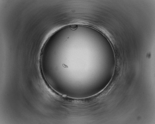 X0000100191379200805301238
