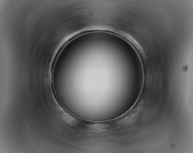X0000100191380200805301238