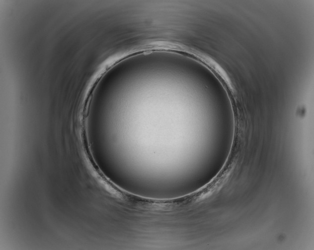 X0000100191381200805301238