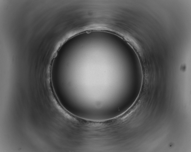 X0000100191382200805301238