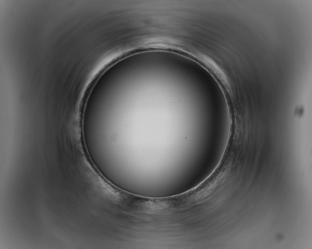 X0000100191384200805301238