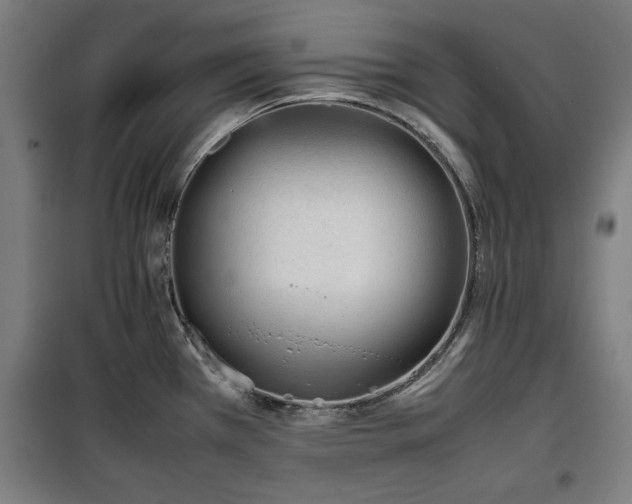 X0000100191385200805301238