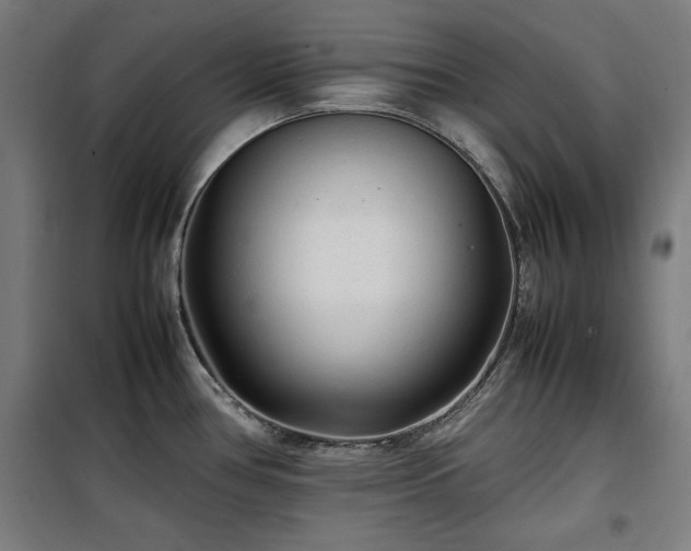 X0000100191386200805301238