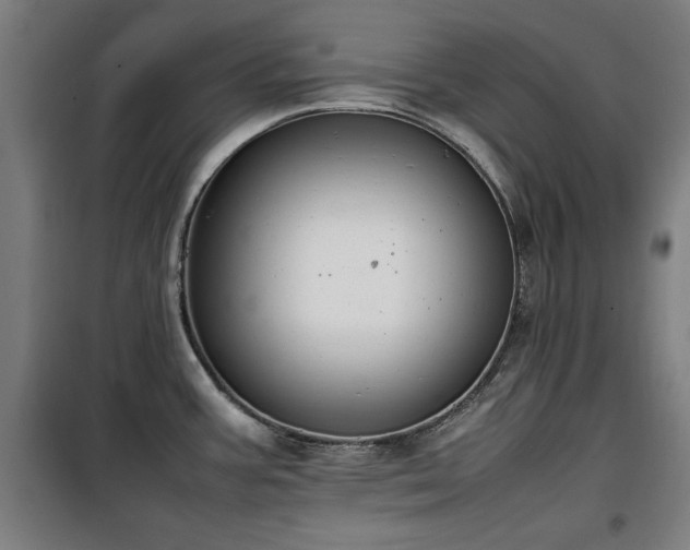 X0000100191387200805301238