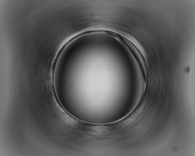 X0000100191388200805301238