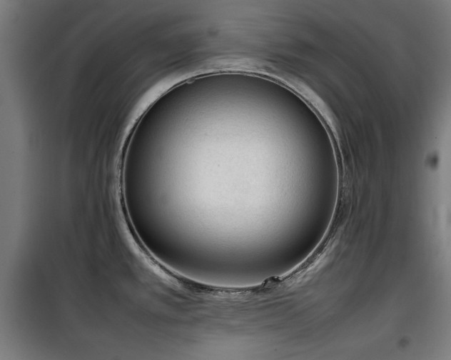 X0000100191389200805301238