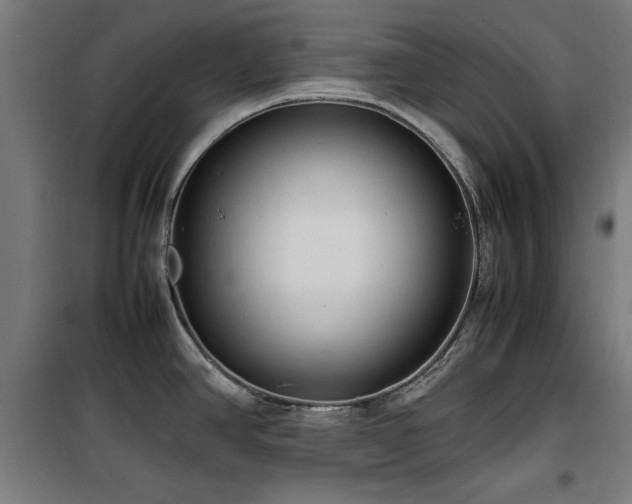 X0000100191390200805301238