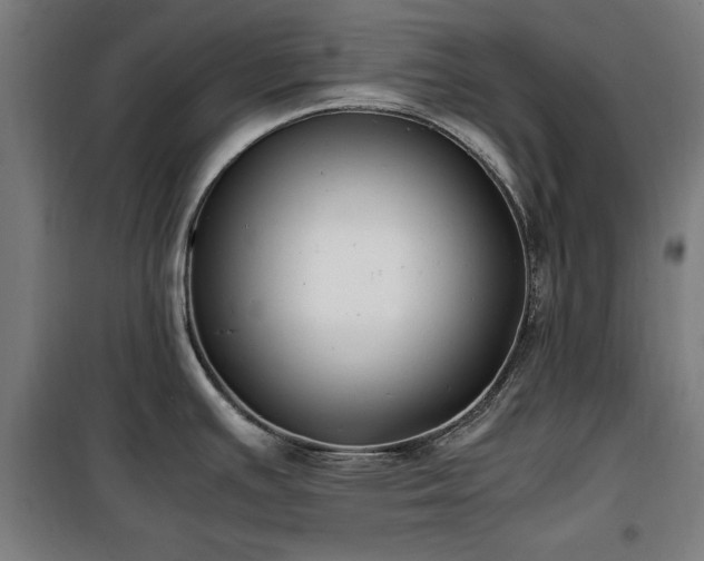 X0000100191391200805301238