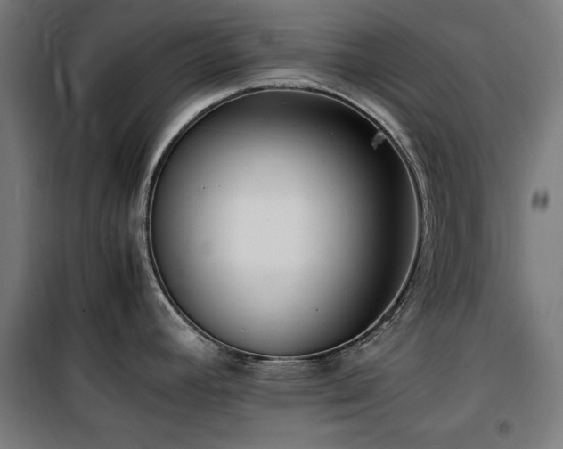 X0000100191392200805301238