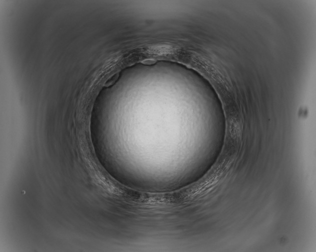 X0000100191393200805301237