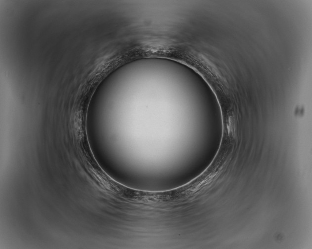 X0000100191396200805301237
