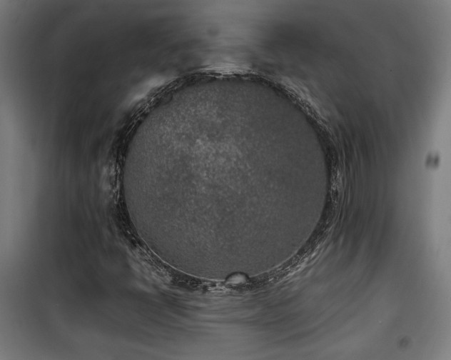 X0000100191398200805301237