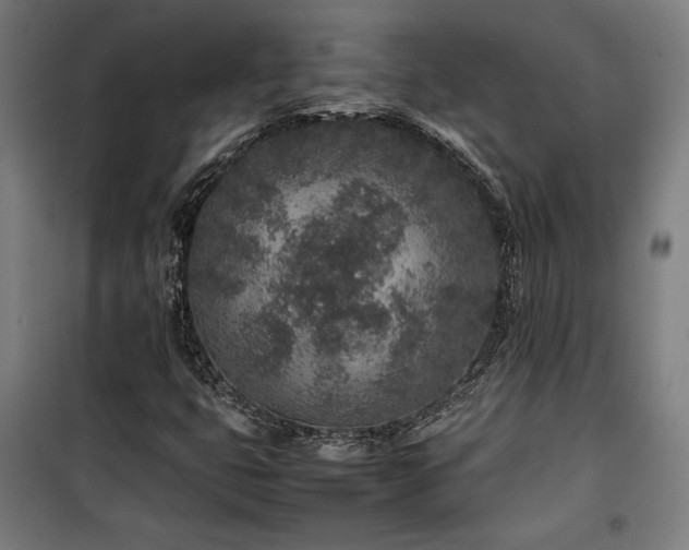 X0000100191399200805301237