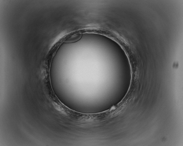 X0000100191400200805301237