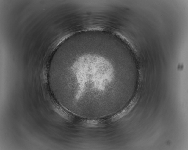 X0000100191401200805301237