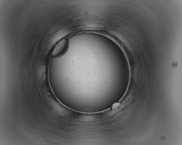 X0000100191402200805301237