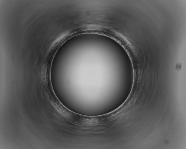 X0000100191403200805301237