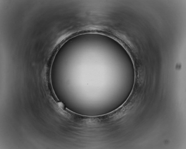 X0000100191404200805301237