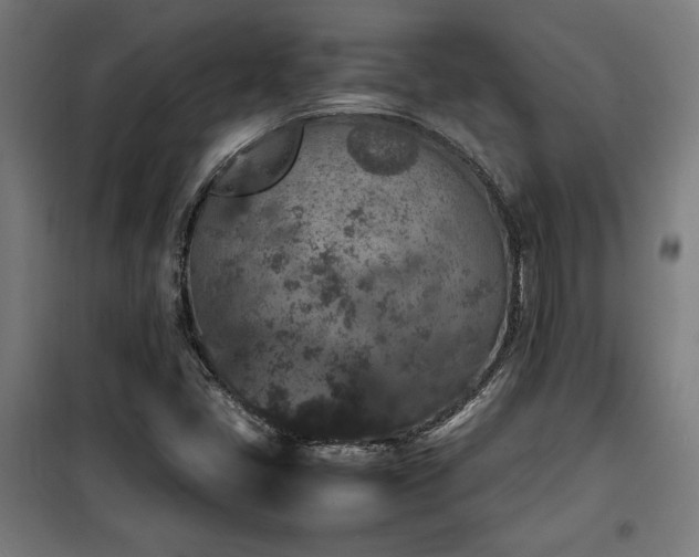 X0000100191405200805301237