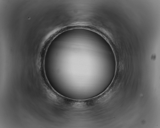 X0000100191406200805301237